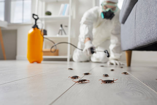 Affordable Cockroach Control solutions in Keystone, FL